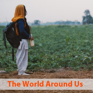 short film collection: The World Around Us